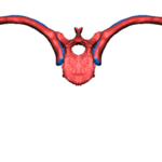 image002.png