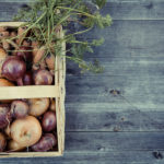 vegetables-1679947_1280_noticia.jpg