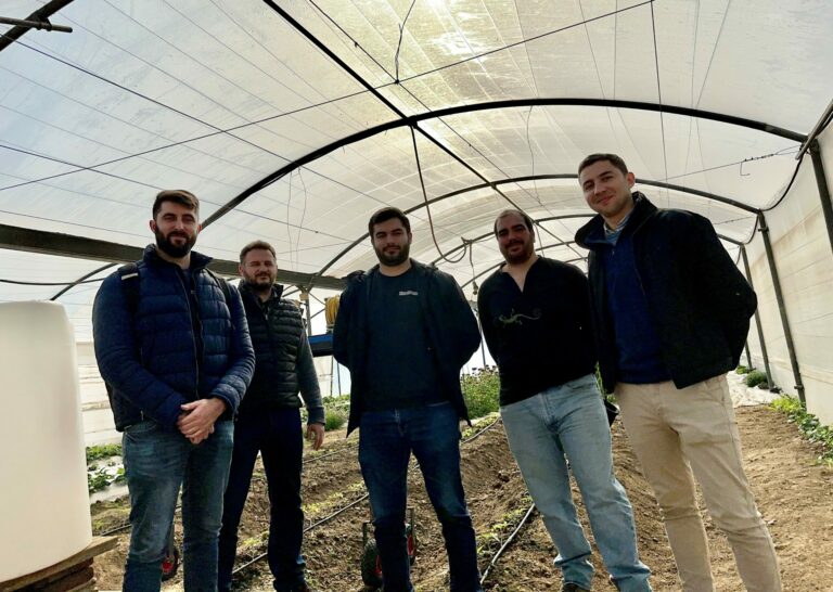 Inteligencia Artificial y agricultura de precisión para mejorar la calidad del tomate industrial