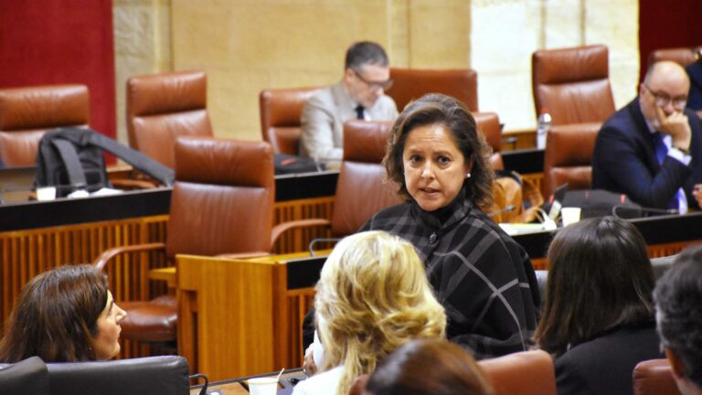 La Junta anuncia un servicio de atención telefónica 24 horas para menores en cuidados paliativos en el primer trimestre de este año