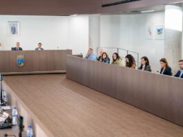 Estepona aprueba un plan urbanístico para desarrollar más de 500 viviendas protegidas en Arroyo Judío