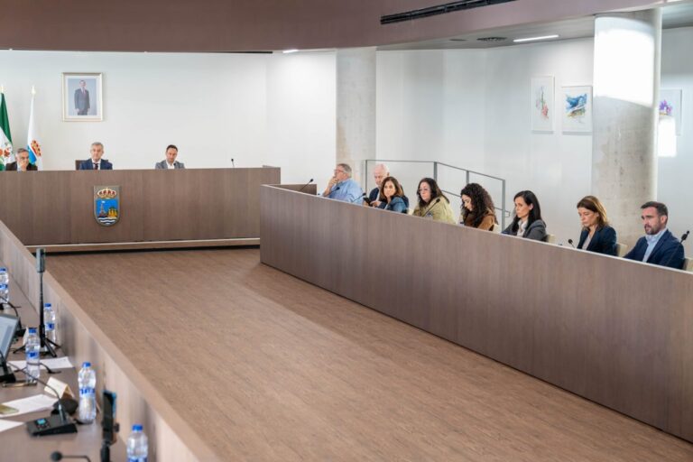 Estepona aprueba un plan urbanístico para desarrollar más de 500 viviendas protegidas en Arroyo Judío