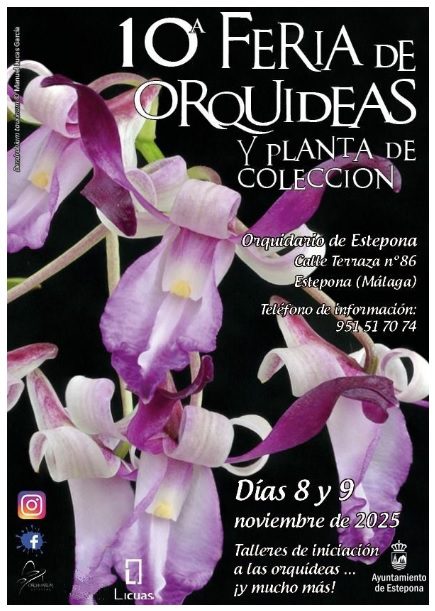 feriaorquideas