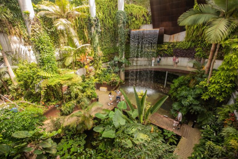 El Parque Botánico Orquidario de Estepona cumple diez años con más de medio millón de visitas