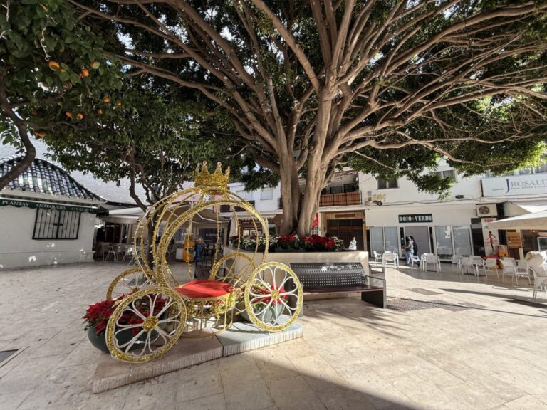 Estepona planta 23.000 flores navideñas en calles y barriadas del municipio