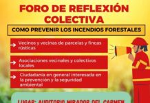 Estepona acoge el 5 de marzo un taller gratuito sobre prevención de incendios forestales dirigido a vecinos de zonas urbano-forestales CARTEL LINEA VERDE