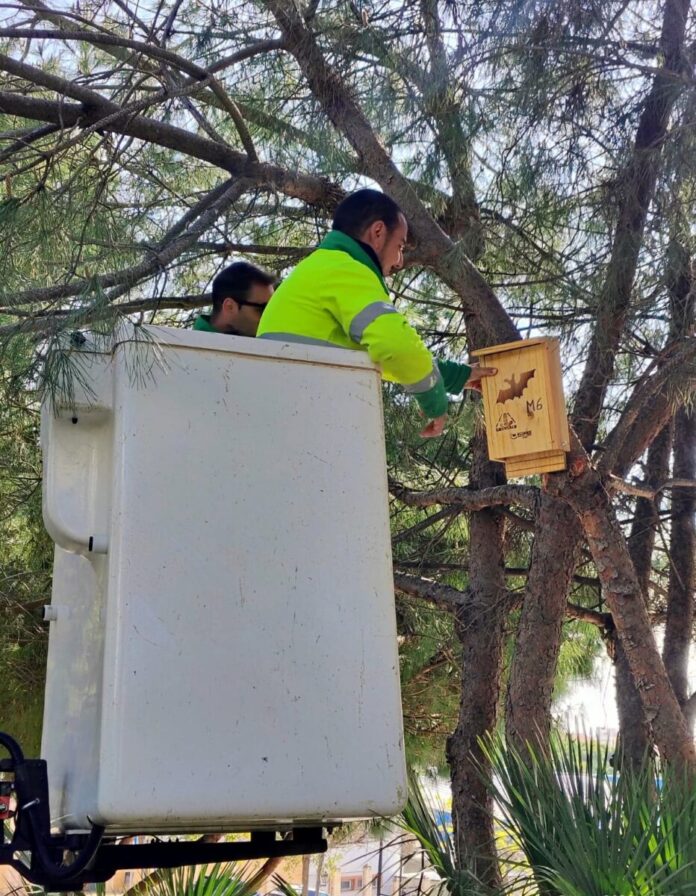 Estepona instala seis cajas nido para murciélagos y autillos en los parques de Los Abuelos y Seghers para favorecer el control de insectos