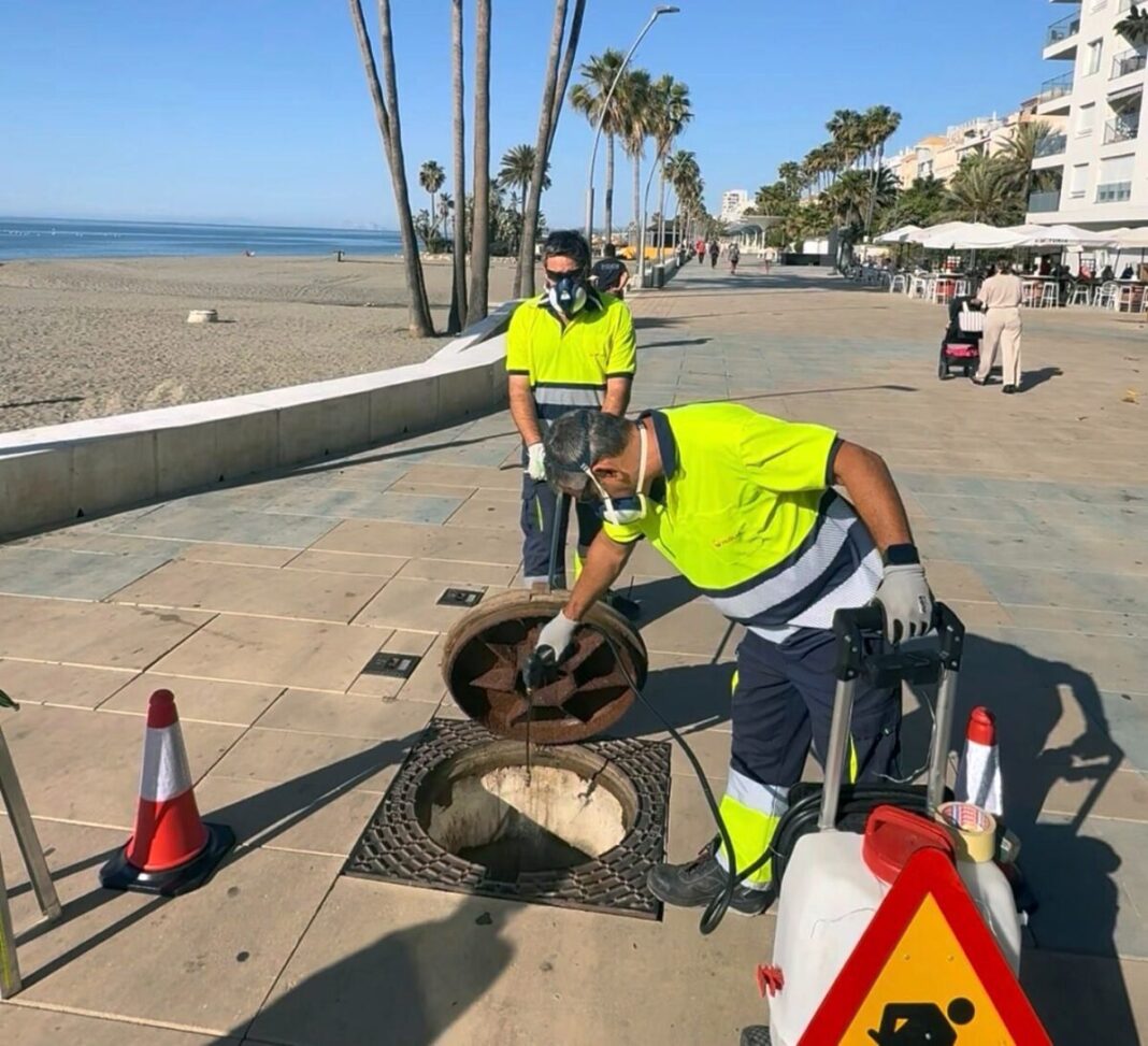 En Estepona se refuerza el servicio de control de plagas con un nuevo equipo de operarios y tres campañas anuales en 426 kilómetros de alcantarillado