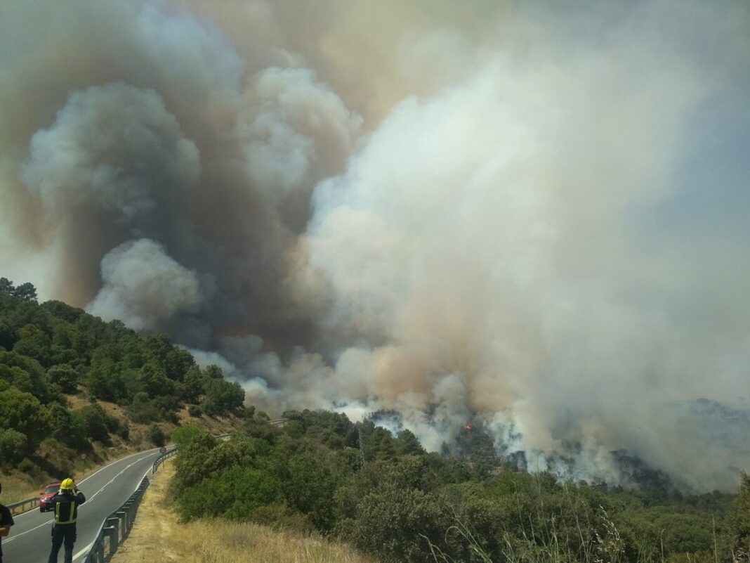 Cinco organizaciones ecologistas reclaman un pacto de Estado contra la emergencia climática
